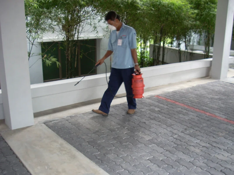 General pest control by DynaPest