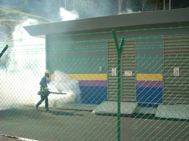 Mosquito Fogging