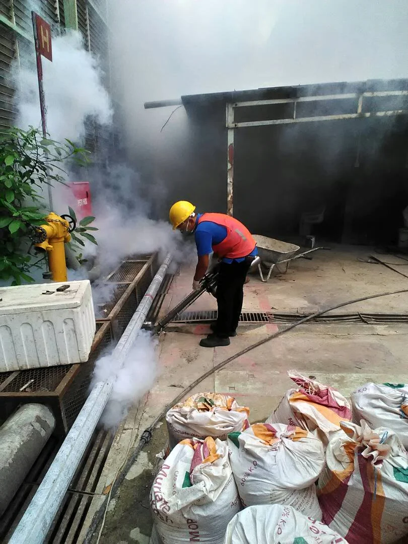 Mosquito Fogging